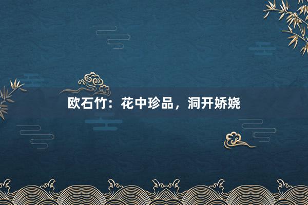 欧石竹：花中珍品，洞开娇娆